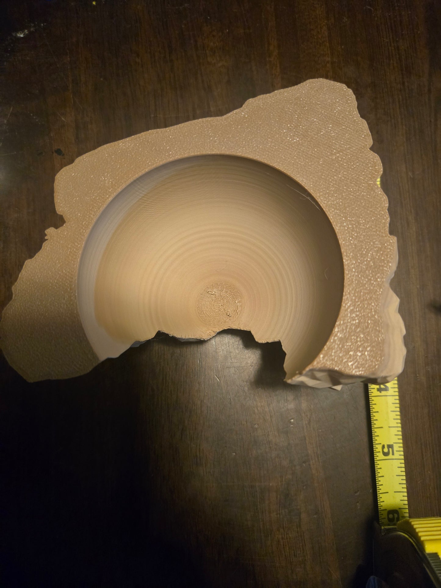 Reptile cave pla rock